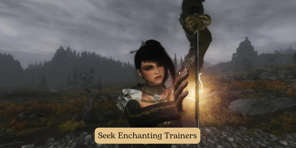 Seek Enchanting Trainers